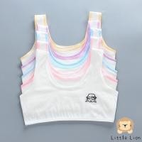 ราคา เสื้อซับในเด็กเล็ก เสื้อบังทรงเด็ก สำหรับอายุ 5 10 ขวบ Little Lion (29044898537)