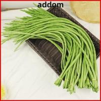 ราคา ADDOM ถั่วยาวจําลอง ถั่วไต 56 ซม ผักจําลอง เหมือนจริง PU อาหารปลอมแสดง Prop (57561291135)