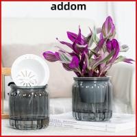 ราคา ADDOM กระถางต้นไม้ Hydroponic กระถางดอกไม้พลาสติกแบบถอดได้ แฟชั่นรดน้ําด้วยตนเอง Mini Succulent Planter แจกันตั้งโต๊ะ (56561483209)