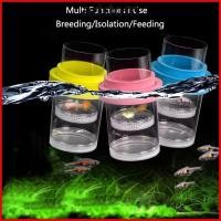 ราคา ADDOM ลอยปลา Breeding กล่องแยก ตาข่ายพลาสติกใสลอย Hatching กล่อง กุ้ง Guppy Aquarium Breeder ที่ถอดออกได้ Fish Hatchery Incubator Breeder กล่อง (53861483026)