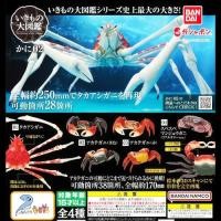ราคา กาชาปอง ปู โมเดล Gashapon จุดขยับ โมเดลสัตว์ Ikinomo Daizukan Crab 02 ฉบับสีสมจริง (51606245971)