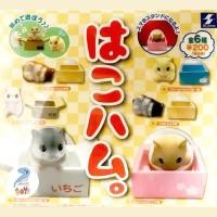 ราคา box hamster กาชาปอง สัตว์ หนูแฮมสเตอร์ ในกล่อง Gashapon Figure Gacha Hakoham grayhamster hamster (43772267021)