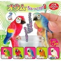 ราคา กาชาปอง นก Gashapon นกแก้วมาคอร์ กาชาปองสัตว์ โมเดล macaw parrot สัตว์มินิ เกาะแก้ว ญี่ปุ่นแท้ สินค้าพร้อมส่ง (28700934920)