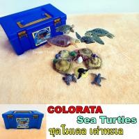 ราคา COLORATA ชุดเต่าทะเล (12763871574)