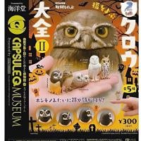 ราคา Gashapon ฟิกเกอร์ โมเดล กาชาปอง สัตว์ สารานุกรม นกฮูก Fridge Kaiyodo Q Fuku Owl Encyclopedia 2 (24040947880)