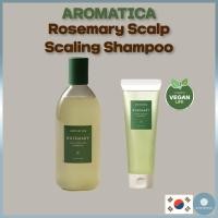 ราคา AROMATICA Rosemary Scalp Scaling Shampoo 180ml 400ml Vegan ผมร่วงอเนกประสงค์แพ้ง่าย (27377315616)