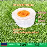 ราคา ลูกขัดผ้าเงา100 100มมสำหรับเครื่องขัดแฮร์ไลน์ (15741938392)