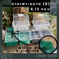 ราคา ชุดถาดเพาะเมล็ด สาขากล่องเพาะเมล็ด ถาดเพาะชําพร้อมฝาปิดบ่มระบายอากาศ รูปร่างสูง ไม้อบต้นไม้ควบแน่น (26694970159)