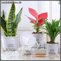 ราคา CNC กระถางพลาสติกใสขนาดเล็กรดน้ำได้ด้วยตัวเองกระถางดอกไม้สำหรับตกแต่งบ้าน (55562615226)