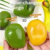 ราคา lts สีเปลี่ยนมะม่วงบีบบอลนุ่มอยู่ไม่สุขของเล่นต่อต้านความวิตกกังวลความเครียดบรรเทาสําหรับโรงเรียนสํานักงานบ้านของใช้ประจําวัน ไทย (29295161905)