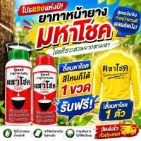 ราคา มหาโชค 500cc ยาทาหน้ายางพารา ยาทาหน้ายาง บำรุงหน้ายาง ดูแลรอยกรีด หน้ายางนิ่ม กรีดง่าย แถมเสื้อ เพิ่มน้ำยางพารา รักษาโรค (43970517290)