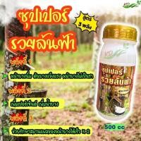 ราคา ยาทาหน้ายาง ซุปเปอร์รวยล้นฟ้า 500 ซีซี สูตร 3 พลัง ใช้น้อยออกฤทธิ์นาน เปลือกนุ่ม เพิ่มปริมาณน้ำยาง รักษาหน้ายาง (28015763967)