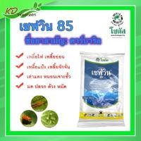ราคา เซฟวิน 85 คาร์บาริล ขนาด 100 กรัม สารกำจัดแมลง ศัตรูพืช เพลี้ย แมลงปีกแข็ง หนอนเจาะขั้ว ไม่มีสารตกค้าง (21327409549)