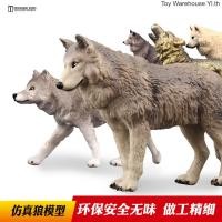 ราคา T Tongde Wolf รุ่นจําลองสัตว์ของเล่นเด็ก Wild Big Grey Wolf Grassland Wolf Roage Wolf Arctic Wolf Fear (54452058580)