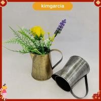 ราคา kimgarcia แจกันโลหะตกแต่งเหยือกโทรมผู้ถือดอกไม้แจกันโลหะพร้อมที่จับสําหรับบ้านสวนกระถางดอกไม้ (53762612323)