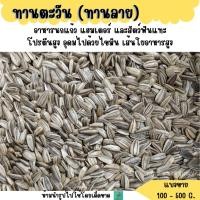 ราคา เม็ดเล็ก เมล็ดทานตะวันลาย แบ่งขาย 500 g 1 kg อาหารนกแก้ว อาหารแฮมเตอร์ (2166481705)
