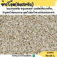 ราคา ข้าวโอ๊ต แบ่งขาย 200 500G อาหารนกแก้ว และ สัตว์ฟันแทะ (14983758496)