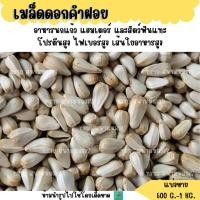 ราคา เมล็ดดอกคำฝอย ทานตะวันขาว แบ่งขาย 200 500 G อาหารนก อาหารแฮมเตอร์ (4458936855)