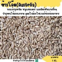 ราคา ข้าวโอ๊ต แบ่งขาย 1 KG อาหารนกแก้ว และ สัตว์ฟันแทะ (26261419027)