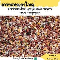 ราคา อาหารนกเขาใหญ่ เขาชวา เขาแขก นกพิราบ แบ่งขาย 500 G 1 KG (24082507230)