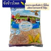 ราคา ซังข้าวโพด Giant Cob รองกรง สำหรับ นก หนู กระต่าย แกสบี้ แฮมสเตอร์ เม่น เฟอเร็ท วัสดุรองรัง หนูแฮมเตอร์ 1 kg (11726856706)