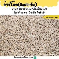 ราคา 5 KG 10 KG ข้าวโอ๊ต อาหารนกแก้ว และ สัตว์ฟันแทะ (27127056092)