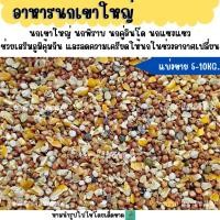 ราคา 5 KG 10 KG อาหารนกเขาใหญ่ เขาชวา เขาแขก นกพิราบ (27592902860)