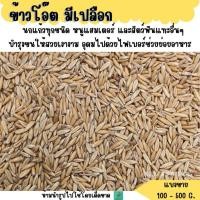 ราคา ข้าวโอ๊ต มีเปลือก แบ่งขาย 200 500G อาหารนก และสัตว์ฟันแทะ (18987537187)