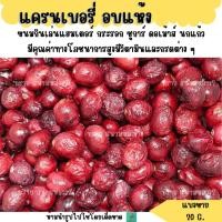 ราคา แครนเบอรี่ อบแห้ง แบ่งขาย 20 G ขนมกินเล่นแฮมเตอร์ กระรอก ชูการ์ ดอเม้าส์ นกแก้ว (29065507921)