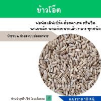 ราคา ข้าวโอ๊ต แบ่งขาย 10 KG อาหารนก สัตว์ฟันแทะ (24608960001)