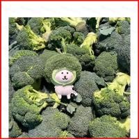 ราคา GL Joke Bear Cute Broccoli Cotton Doll Plush Bag Charm dollie ของเล่นเด็กผู้หญิง GL (52612101584)