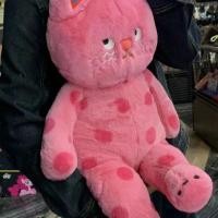 ราคา ตุ๊กตาแมวลายจุดน่ารักของเล่นตุ๊กตาหมอนนอน Ragdoll (57153115619)
