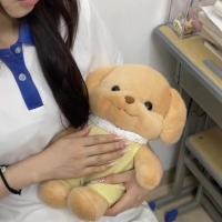 ราคา ลูกสุนัขพุดเดิ้ลของเล่นตุ๊กตาตุ๊กตาน่ารักตุ๊กตาครอบครัวทานาบาตะวันวาเลนไทน์ของขวัญวันเกิดหญิง (51651702842)