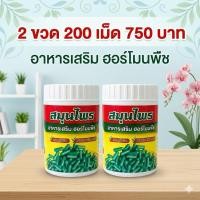 ราคา นาโนโปรพลัส นาโนพืช ธาตุอาหารหลัก เร่งกานเจริญเติบโต 2กระปุก 200 เม็ด (51711897168)