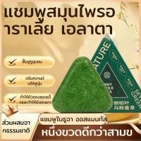 ราคา ขายดีในประเทศไทย สบู่สระผมใบสนไซเปรส แชมพูสมุนไพร แชมพูควบคุมน้ำมันบนหนังศีรษะ ช่วยฟื้นฟูผมร่วง รังแค หนังศีรษะมัน ผมหงอก แก้คันหนังศรีษะ แก้เชื้อรา คนผมบางและผมน้ำมัน (57852046895)