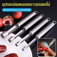 ราคา ลดกระหน่ำ ที่เจาะแกนผลไม้ อุปกรณ์ สำหรับนำเมล็ดผลไม้ออก แบบสแตนเลสเกรด ที่เจาะแกนผลไม้ อเนกประสงค์ เจาะเม็ด มะยงชิด สิ่งที่ต้องมีสำหรับครอบครัว (49307118212)