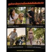 ราคา ส่งฟรี สายรัด กันกระแทก สายจูงไนลอน ลดแรงกระแทก กันกระชาก แข็งแรง ทนทาน สำหรับสุนัขพันธุ์ใหญ่ สีดำ ปรับขนาดได้ ใช้สะดวก (48260990766)