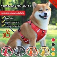 ราคา ยอดขาย TH อันดับ 1 สายจูงสัตว์เลี้ยงป้องกันการระเบิดสำหรับสุนัข สายจูงสะท้อนแสงสำหรับสุนัขพันธุ์ใหญ่ สายจูงสะท้อนแสง สายจูงลดแรงกระชาก สายจูงใหญ่กันสะบัด สายจูงเดินกลางคืน (42224642820)