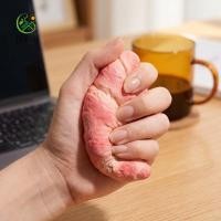 ราคา DOFGH Squishy ครัวซองของเล่นบีบ Calming Super Soft ขนมปัง Squishy ของเล่น ชายหญิงนุ่มน่ารักมือผ่อนคลายช้า Rising Sensory Fidget เค้กเด็กของขวัญ (46562703830)