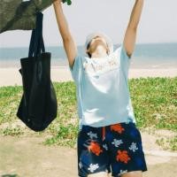 ราคา Vilebrequin Sea Turtle Beach Shorts Quick Drying Vacation Leisure กางเกงว่ายน้ํา (46762180012)