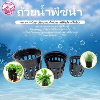 ราคา ถ้วยปลูกผัก ถ้วยสีดำปลูกผัก ผักไฮโดรโปนิกส์ ไฮโดร สลัด salad hydroponic hydro แบบใช้ซ้ำ หนา เหนียว (55863008808)
