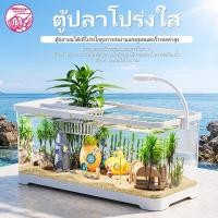 ราคา ตู้ปลาใหญ่ พลาสติกใส เลี้ยงปลากัด สามารถจับคู่กับไฟ LED ป้องกันการกระโดด (55713027992)