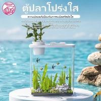ราคา ตู้ปลา ขนาดเล็กตู้ปลาพลาสติกใส เหมาะสำหรับปลากัด ปลาหางนกยูง ตู้ปลา ตกแต่งง่าย ขนาดกะทัดรัด (52413032091)