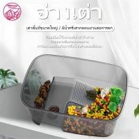 ราคา แทงค์เลี้ยงเต่า คุณภาพดี อ่างเลี้ยงเต่า กระบะเลี้ยงเต่า สำหรับเต่าน้ำ เต่าญี่ปุ่น มีหลายแบบ (51763461570)