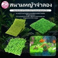 ราคา แผ่นหญ้าเทียม หญ้าปลอม จัดสวน จัดฉาก แคคตัส กระบองเพชร cactus succulent (49562818661)