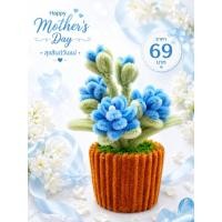 ราคา กระถางประดับ ดอกมะลิ (44813513245)