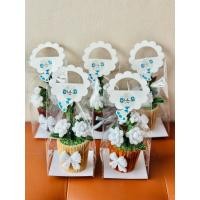 ราคา กระถาง ดอกมะลิวันแม่ (43711371867)