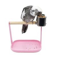 ราคา Cc Bird Training Stand ขาตั้งนกแก้ว ขาตั้งเล่นนกแก้ว แบบตั้งโต๊ะ ขาตั้งคอนนก (53563604074)