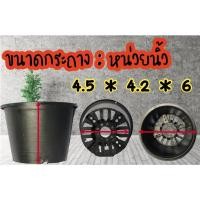 ราคา กระถาง 6 นิ้ว กระถางต้นไม้ กระถางพลาสติก กระถางกระบองเพชร กระถางแคคตัส (6193110623)
