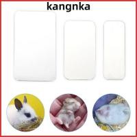 ราคา คณะกรรมการระบายความร้อนหนูแฮมสเตอร์ KANGNKA กระดานทําความเย็นสําหรับสัตว์เลี้ยงเย็นสีเงิน อุปกรณ์กระต่ายหนูแฮมสเตอร์พลาสติกอลูมิเนียม แผ่นน้ําแข็งสัตว์เลี (47557297803)